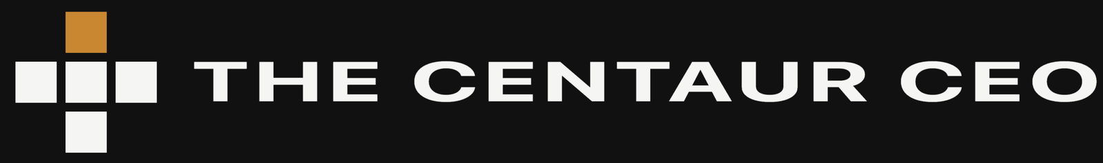 The Centaur CEO